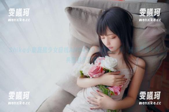 Shika小鹿鹿携少女前线AN94兔女郎作品上线，精美原图与经典图片不容错过