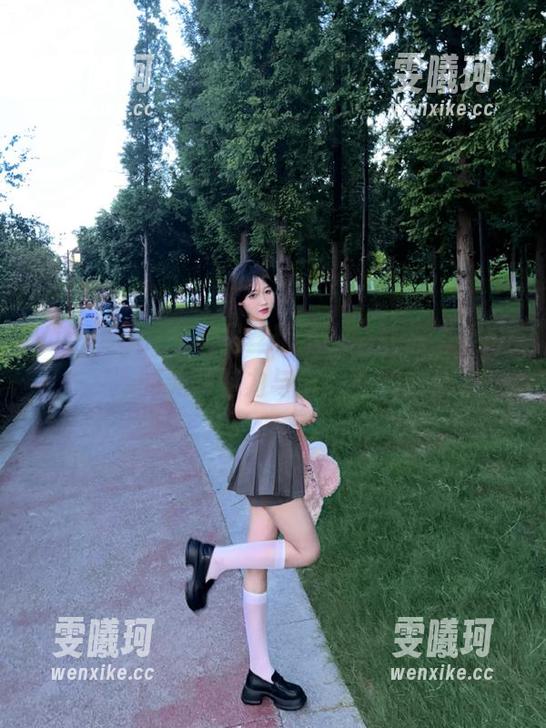 Vinnegal Vinnegal的裤里丝精选——让你感受cos的无限魅力与童趣风情!