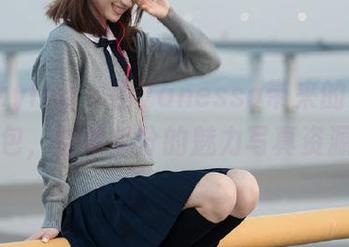 beautyleg – 由Vanessa带来的豹纹图包，恰如其分的魅力写真资源