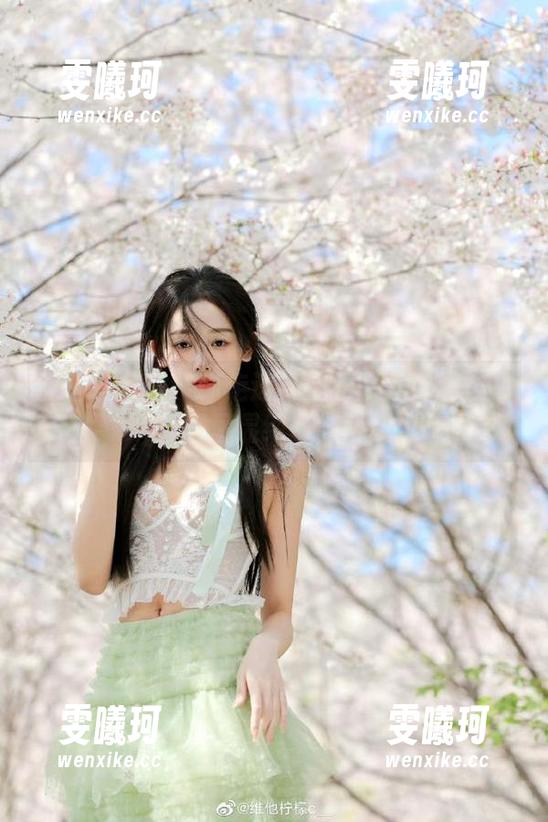 丽柜-兔子 丽柜 - 兔子带你走进花嫁的世界:精选写真集尽显纯美与优雅