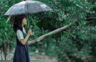 初夏女神 – 摄影师镜头下的双双：网袜作品大揭秘，图片中的时尚新风尚