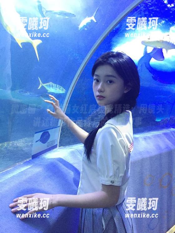 白龙猫女 微密圈 - 白龙猫女红底极光精选:用镜头讲述摄影作品背后的温暖故事