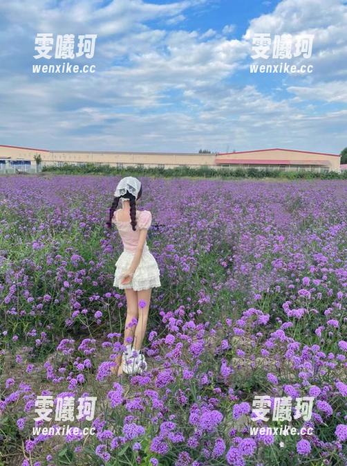 秀人网-Elise谭晓彤 秀人网 - 解锁神秘之美,观看Elise谭晓彤双马尾图包,探索她的无限可能