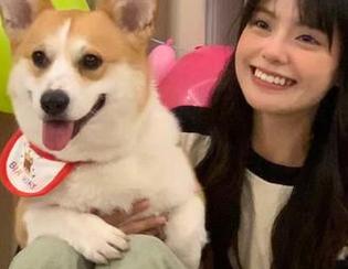 青豆客 – 在这里找到赵伊彤的蕾丝写真，免费欣赏她的优雅与魅力！